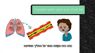אסטמה בילדים ובתינוקות | מלער קורס עזרה ראשונה