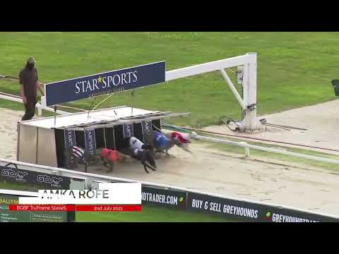 Amka Rofe - BGBF TruFrame British Bred Champions Stake Ht 2