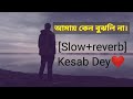 Amay Keno Bujhli Na Re Tui [Slow+Reverb] -Kesab Dey |Bengali Text audio|Lofi Remake