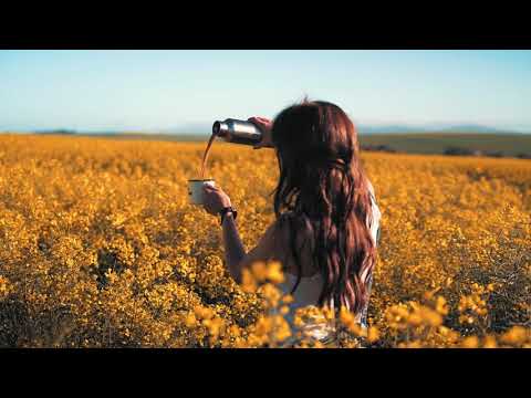 amazing tea time#noshi#volgs