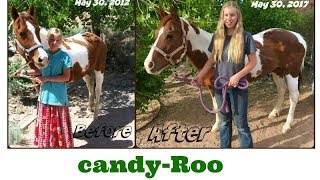 5 Years With My Rescue Horse (Then and Now)