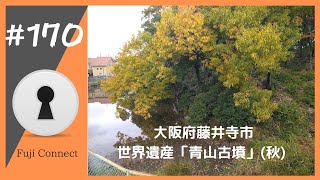 #170 大阪府藤井寺市　青山古墳(秋)