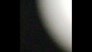 【実況】『』【Live】