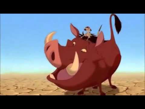 Geez Its a Lion Malorie COM100