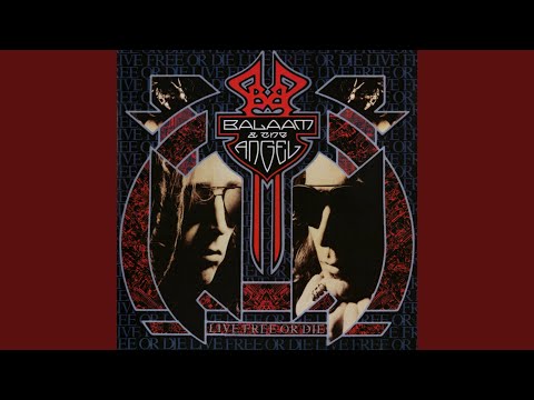 I'll Show You Something Special