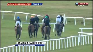 Ballydoyle gallops after racing at Curragh
