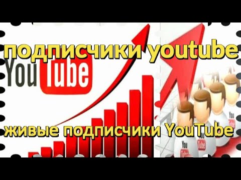 подписчики youtube живые бесплатно