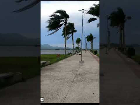 🌴🌊 Trapiche de Antonina PR • Litoral com Vento Forte #Shorts