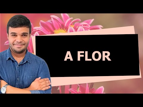 2º ano - Aula 19 - A Flor