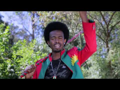 Damee Darajjee New oromoo music 2019 "Jajjabee koo Yaa Qeerroo" @Qemeryusuf700 @HachaluHundessaa