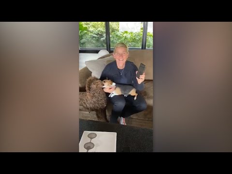 エレンの自宅隔離。ジェニファー・アニストンとジェームズ・コーデンは忙しく、前向きに過ごしています (Ellen's Home Quarantine: Jennifer Aniston and James Corden Are Keeping Busy and Staying Positive)