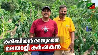 Download lagu കരീബിയൻ രാജ്യത്തെ മലയാളി കർഷകൻ | A Malayali Farmer in Saint Kitts 🇰🇳| Exploring Saint Kitts Island mp3