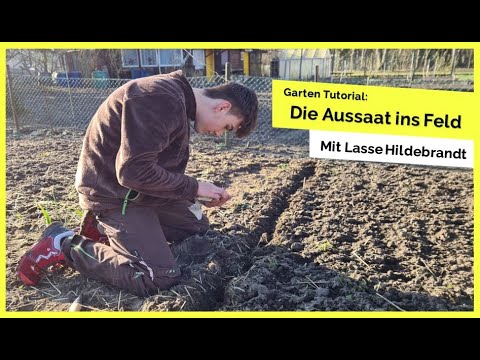 RWH on Stage 🎙 [03] - Die Aussaat ins Feld