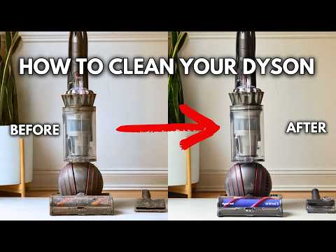 How to Deep Clean Your DYSON Ball Animal 3 in 5 Simple Steps (2025)