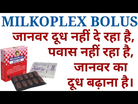 Milkoplex bolus ke kya upyog hai/milkoplex bolus/गाय भैंस को पवासे केसे दूध उतरवाने की बेस्ट दवा