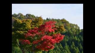 Download lagu 紅葉 / 唱歌 もみじ / 日本の名曲 / フルート / Momiji / Autumn Leaf Color mp3