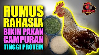 Download lagu RUMUS RAHASIA Membuat Pakan Ayam Alternatif / Campuran Protein Tinggi mp3