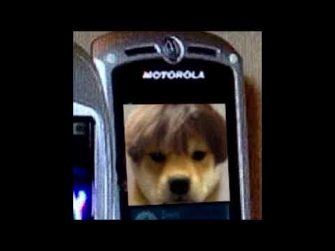 9 ŻYĆ - Otsochodzi, schafter, PlanBe COVER