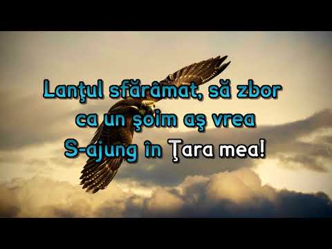 Lacrimile de durere - Negativ Crestin