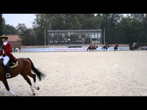 Hengstparade Moritzburg 13.09.2014 Große Dressurquadrille mit 25 Warmbluthengsten
