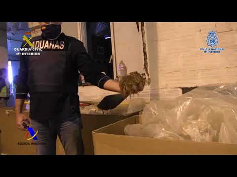 300 smøger i sekundet