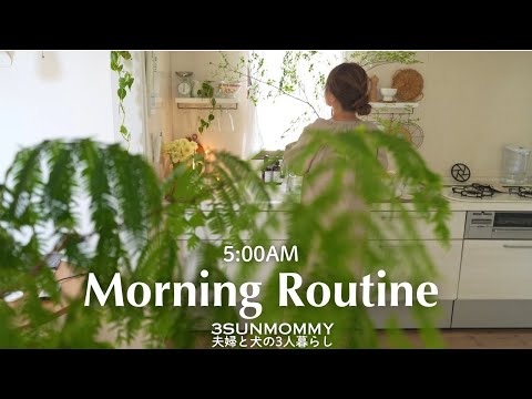 朝5:00ルーティン | 夫婦のお弁当🍱&夕食作り置き | 夫婦と犬の暮らし　#vlog #morningroutine #モーニングルーティン