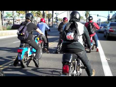 When Skunks Attack Moped Ride #1 - San Diego 01/22/2011
