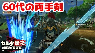 【実況】定年を迎えた父を再びハイラルの大地に放り込むPart17【ゼルダ無双 厄災の黙示録】
