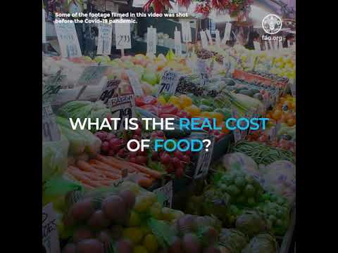What is the real cost of food