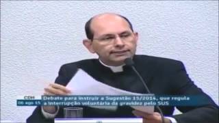 Feministas Reclamam da batina e Estado Laico e o Padre Paulo Ricardo Responde No Senado   CDH