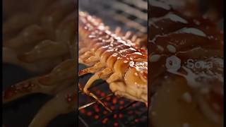 フェイスハガーの焼き鳥(？)の美味しい焼き方！#alien #shorts #short