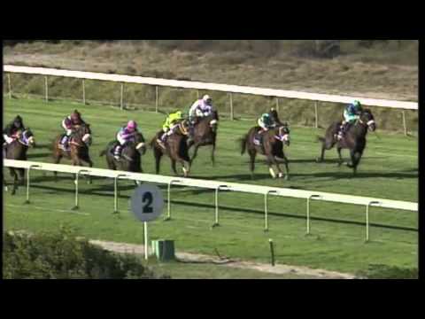 Depardieu - Betting World Cape Nursery (Gr III)