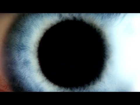 Lux Vimdor - Síntomas Ft. Jexer (Lyric Video)