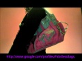 Pinkpurse