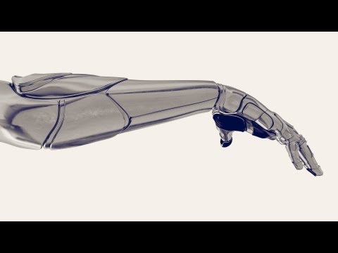Miguel Nicolelis: A monkey that controls a robot with its thoughts. No, really.
