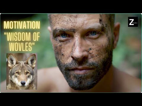 MOTIVATIONAL (Must Watch) "Wisdom of Wolves"  Greatest Life Advice!