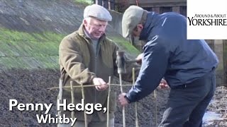 preview picture of video 'Penny Hedge, Whitby, Yorkshire'