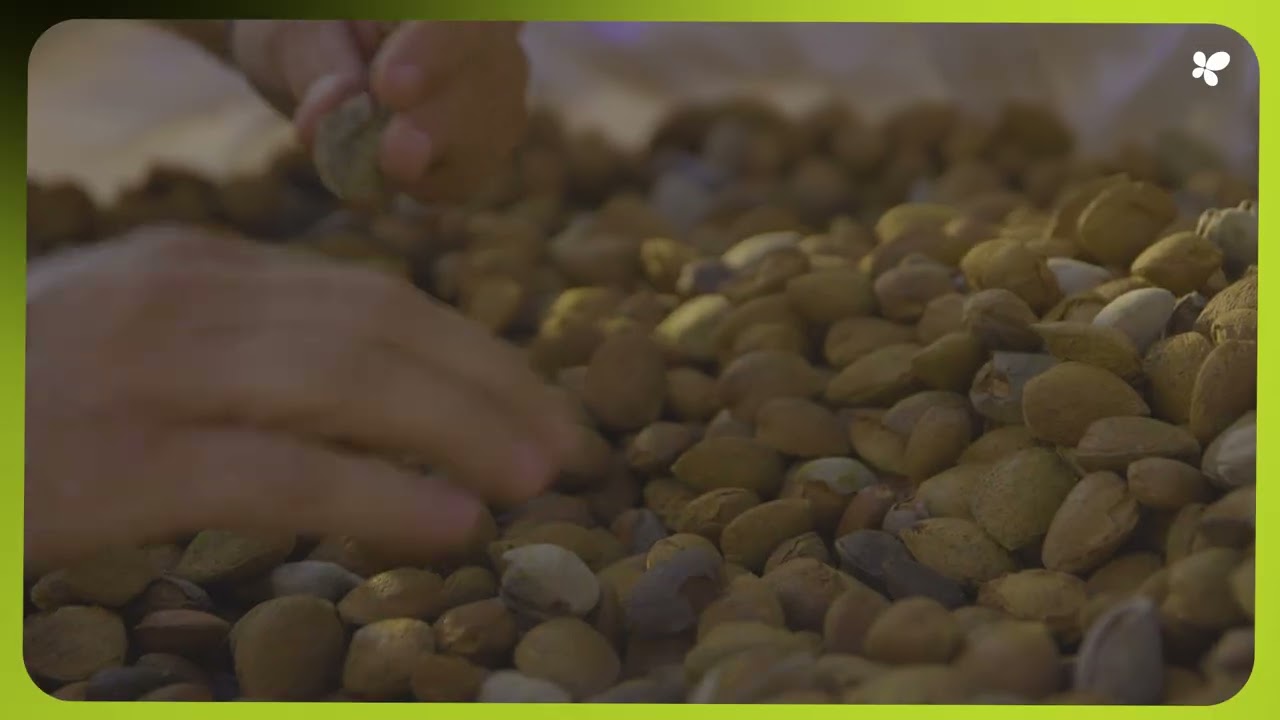 Apoyo a nuevos productores ecológicos en Balears mediante ayudas públicas