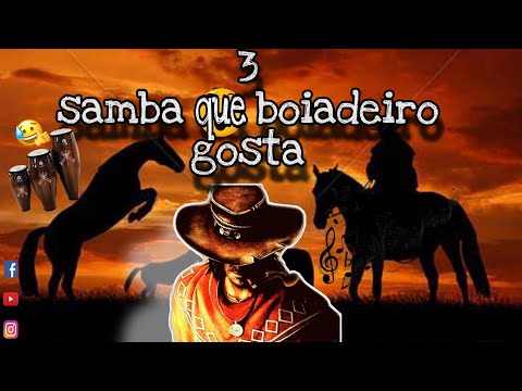"""""""3 CANTIGAS QUE BOIADEIRO GOSTA """"(Samba) assista o vídeo até o final
