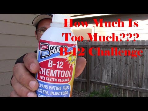 Too much Berryman's B-12???