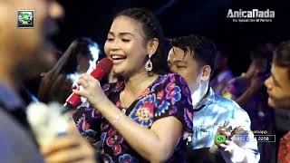 Download lagu JALUK IMBUH - DIAN ANIC - RABU MALAM 11 MEI 2022 ANICA NADA - DESA PATUANAN LEUWIMUNDING MAJALENGKA mp3 Download lagu JALUK IMBUH - DIAN ANIC - RABU MALAM 11 MEI 2022 ANICA NADA - DESA PATUANAN LEUWIMUNDING MAJALENGKA mp3