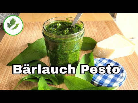 Bärlauch Pesto Rezept mit selbst gesammeltem Bärlauch