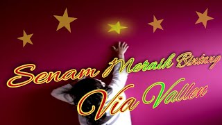 Download lagu Senam meraih bintang - Via Vallen mp3