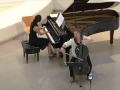 Bright Field Performance By Typical Music