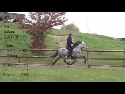 FIZO Kronshof 2021 - Ösp vom Kronshof