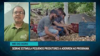 MEI do agro: Sebrae estimula pequenos produtores