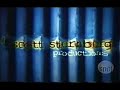 Mandalay Sports Action Entertainment Scott Sternberg Productions Litton 2001
