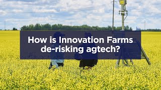 How is Innovation Farms de-risking agtech?