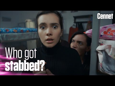 The treacherous conspiracy against Cennet - Cennet | Short Scenes