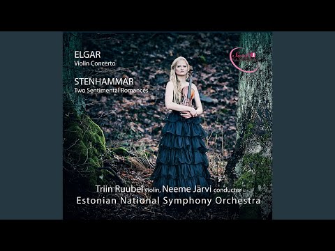 Violin Concerto in B Minor, Op. 61: I. Allegro